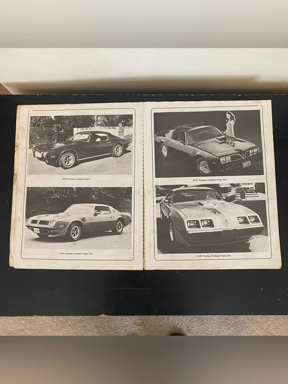 1970-1981 Pontiac Firebird V8 Haynes Repair Owners Workshop Manual Service Book